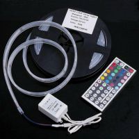 LED diodový pásek 12V s dálkovým ovladačem, LED 5050, RGB světlo, délka 5 metrů