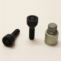 Bezpečnostní šrouby SICUSTAR M14x1,25x35mm, kužel 