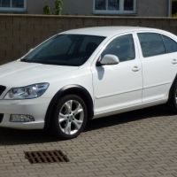 Lemy blatníků - combi - černý desén 